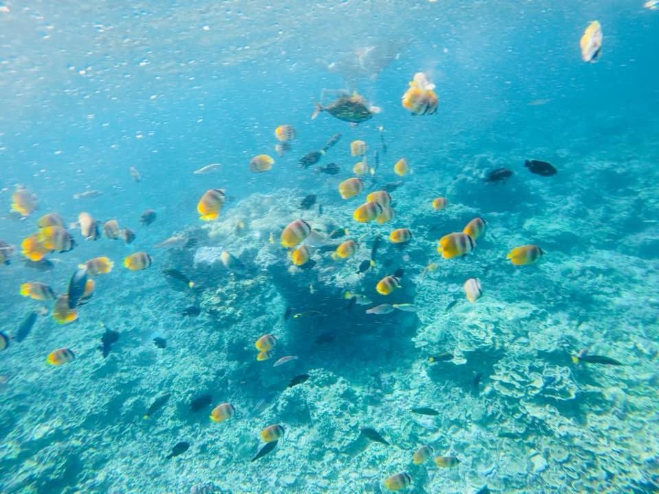 Sealovers' Place Masasa Beach Μπατάνγκας Εξωτερικό φωτογραφία